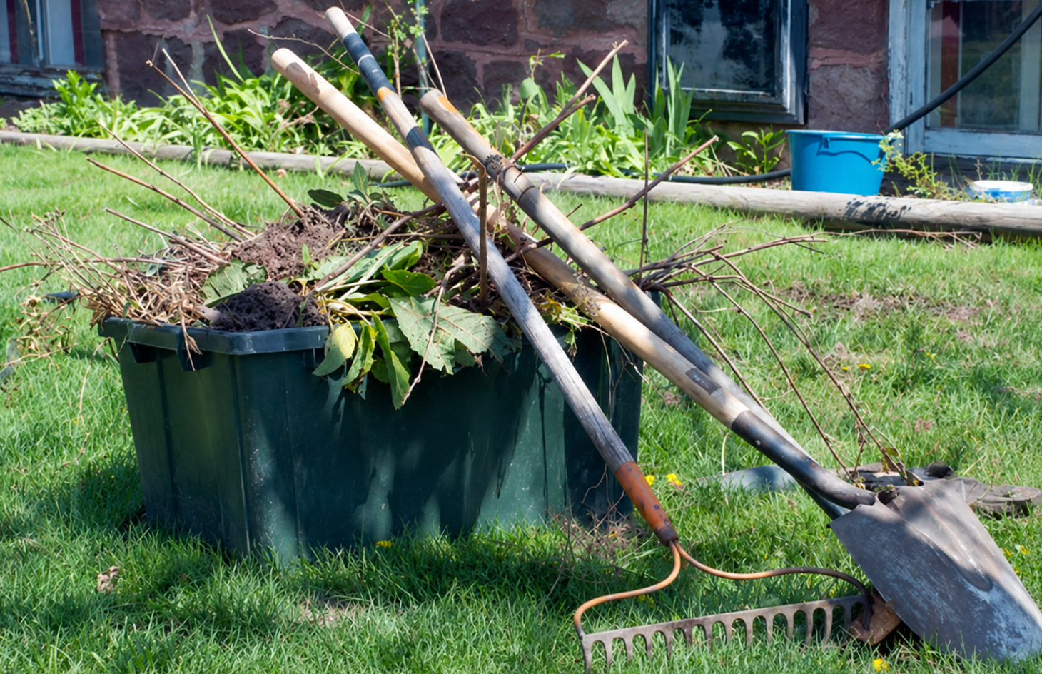 Spring Cleanup